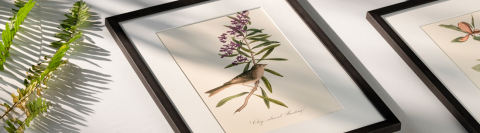 6 Compelling Reasons To Buy Art Online 